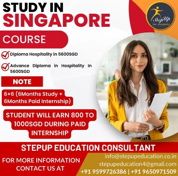 How a Study Visa Consultant Can Help You Study in Singapore