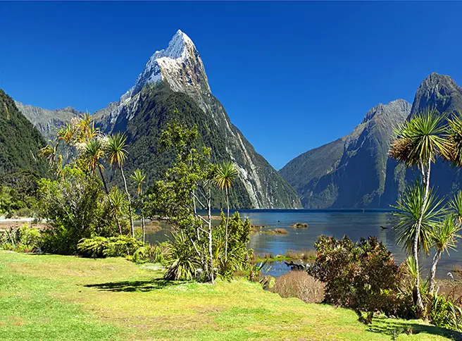 New-Zealand